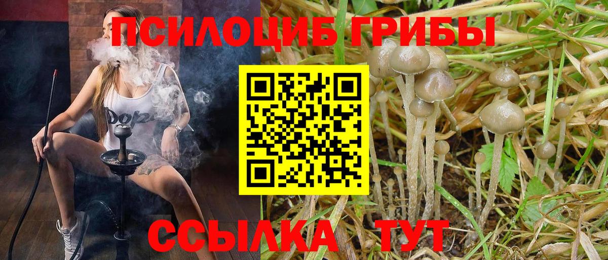 Псилоцибиновые грибы прущие грибы Отрадное